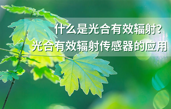 光合有效辐射传感器的应用有哪些？