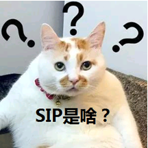能够实现单颗粒16GB的SIP技术是什么？