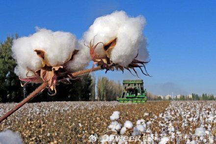 光合有效辐射传感器的应用有哪些？