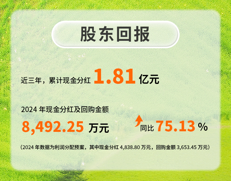 一图读懂英威腾2024年年报