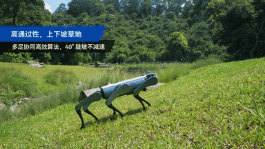 越疆发布六足机器狗!全球首推“机械臂+人形+六足”具身机器人平台