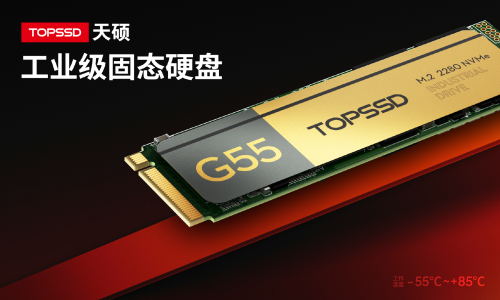 天硕工业级M.2 NVMe SSD全国产节能方案