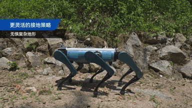 越疆发布六足机器狗!全球首推“机械臂+人形+六足”具身机器人平台