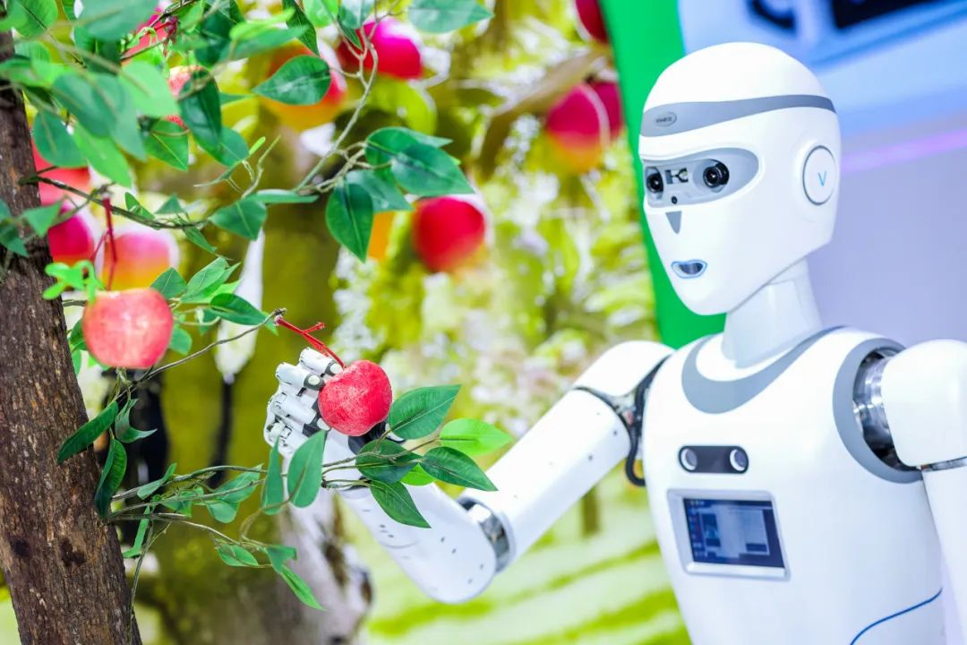 机器视觉在机器人行业的应用（下）